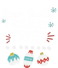 Dear Santa I Really Tried Family Group Christmas Matching Gift T-Shirt