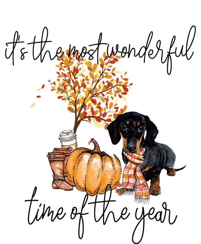 Funny Dachshund Fall Pumpkin Most Wonderful Time Of The Year Gift Premium Hoodie