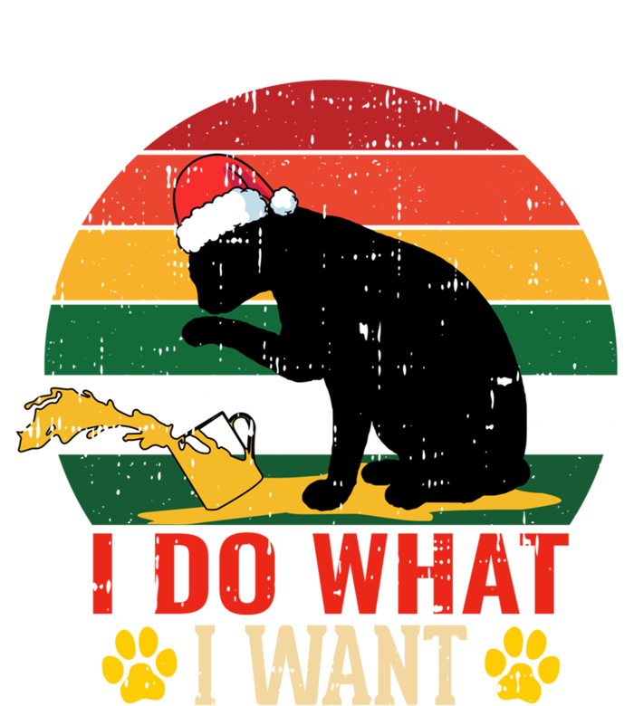 I Do What I Want Cat Christmas Pajama Funny Kitten Xmas Gift Stripe Pom Pom Beanie