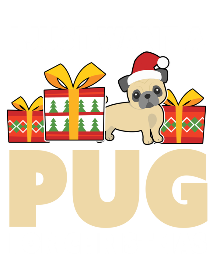 I Just Want A Pug For Christmas Cute Pug Owner Christmas Gift Kids Hoodie