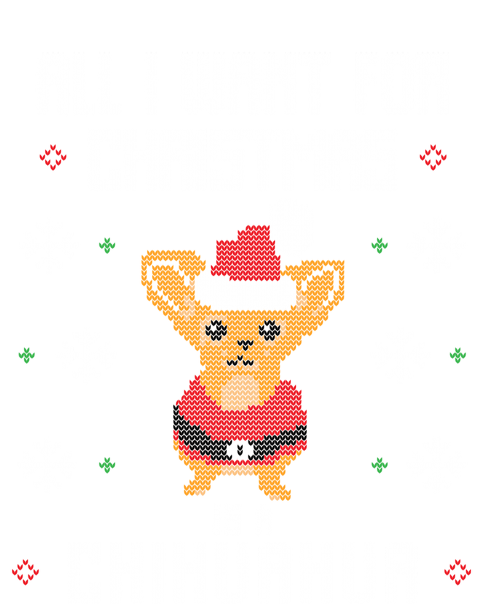 I Want A Chihuahua For Christmas Cute Chihuahua Xmas Funny Gift Women's T-Shirt