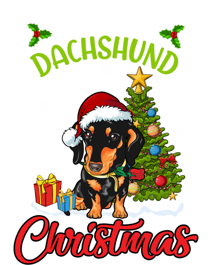 I Want A Dachshund For Christmas Xmas Hippo Gift Women's Tri-Blend 3/4-Sleeve Raglan Shirt