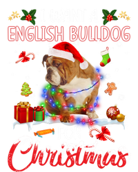 I Want A English Bulldog For Christmas Xmas Lights Santa Gift Insulated Varsity Jacket