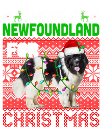 I Want A Newfoundland For Christmas Santa Dog Lover Owner Gift T-Shirt