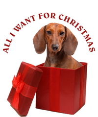 All I Want For Christmas Dachshund Funny Gift Women's Racerback Tank