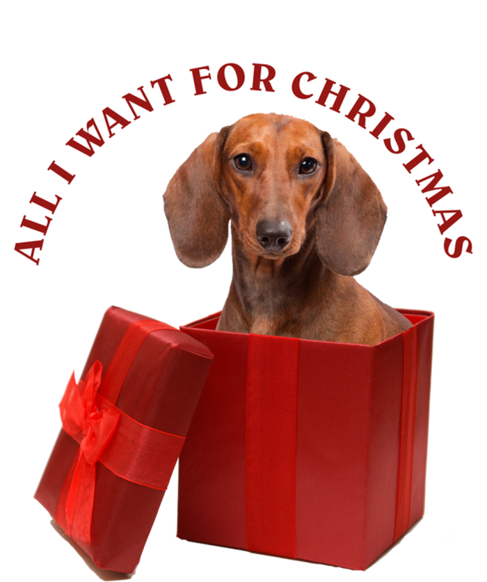 All I Want For Christmas Dachshund Funny Gift Women's Racerback Tank