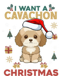 I Want A Cavachon For Christmas Cute Dog Lover Family Pajama Gift Tie Dye Hoodie