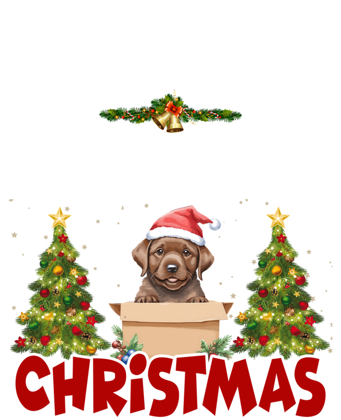 I Want A Labrador For Christmas Labs Mom Dog Lover Christmas Gift Toddler Long Sleeve Shirt