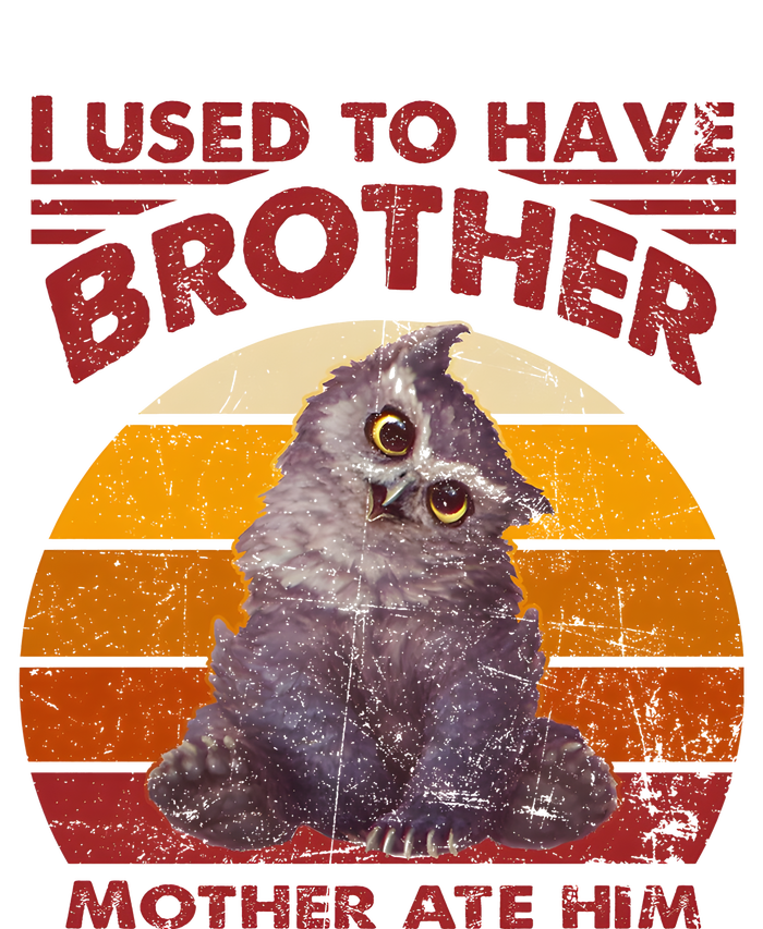 Owlbear Cub BaldurS Gate 3 I Used To Have Brother Vintage Tall T-Shirt