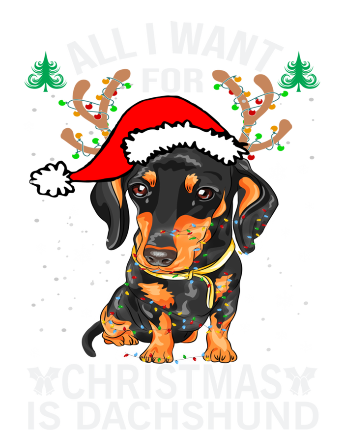 All I Want For Christmas Is More Dog Dachshund Christmas Gift Sustainable Beanie