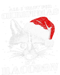 Funny Raccoon Santa All I want for Christmas is a Raccoon Women's V-Neck T-Shirt