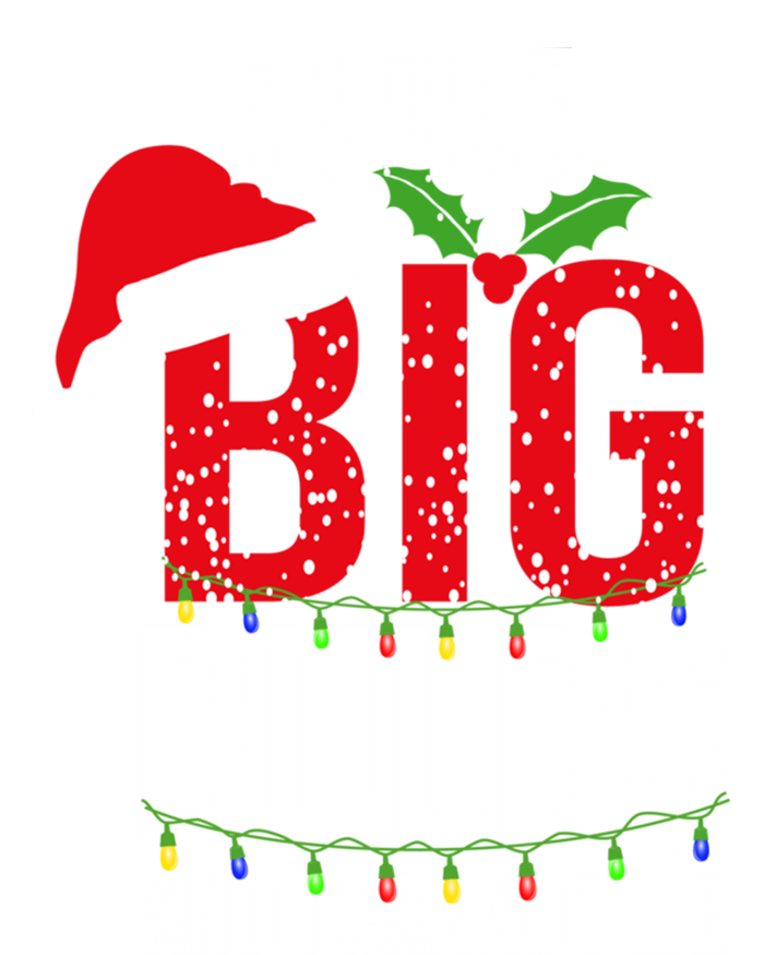 I Like Big Bulbs And Cannot Lie Christmas Light Decorator Gift T-Shirt