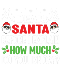 Funny Christmas Shirts Kids Adults Dear Santa I Can Explain T-Shirt