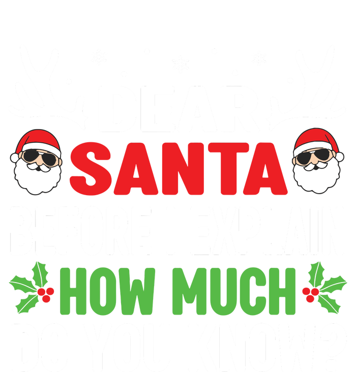 Funny Christmas Shirts Kids Adults Dear Santa I Can Explain T-Shirt