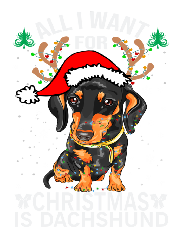 All I Want For Christmas Is More Dog Dachshund Christmas Funny Gift T-Shirt