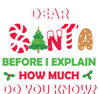 Dear Santa Before I Explain How Much Do You Know Christmas Striped Beanie with Solid Band