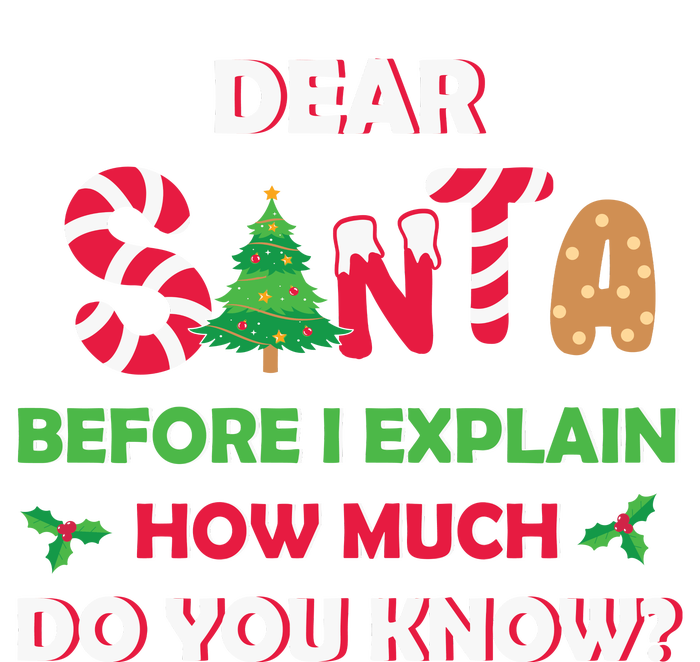 Dear Santa Before I Explain How Much Do You Know Christmas Striped Beanie with Solid Band