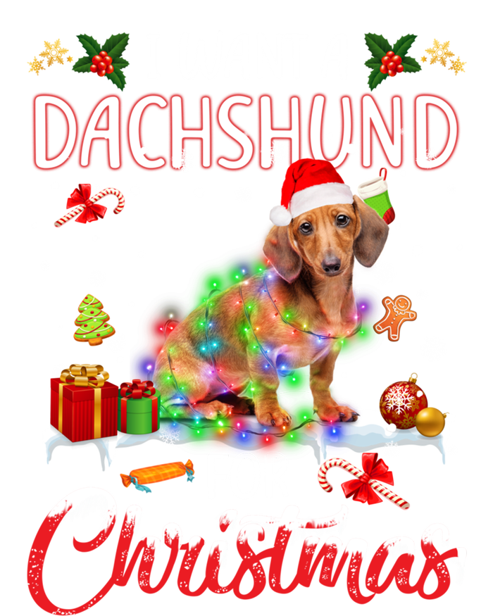 I Want A Dachshund For Christmas Xmas Lights Santa Dachshund Gift Kids T-Shirt