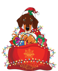 Dachshund Christmas Gift Weiner Dog Lovers Xmas Gift Cute Gift T-Shirt