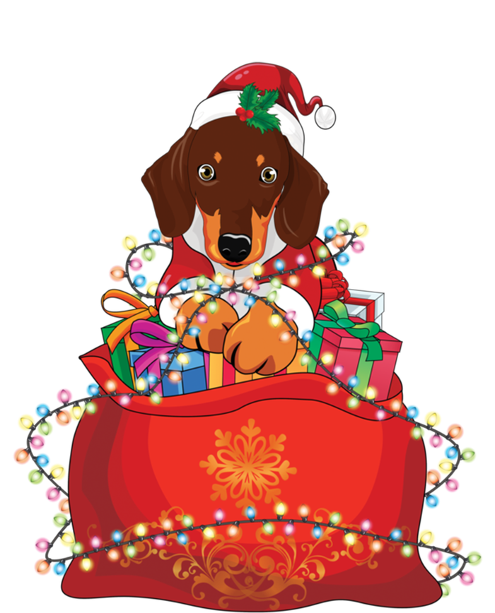 Dachshund Christmas Gift Weiner Dog Lovers Xmas Gift Cute Gift T-Shirt