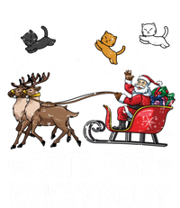 Cats For Everybody Christmas Cat Funny Xmas Santa Funny Gift Hoodie