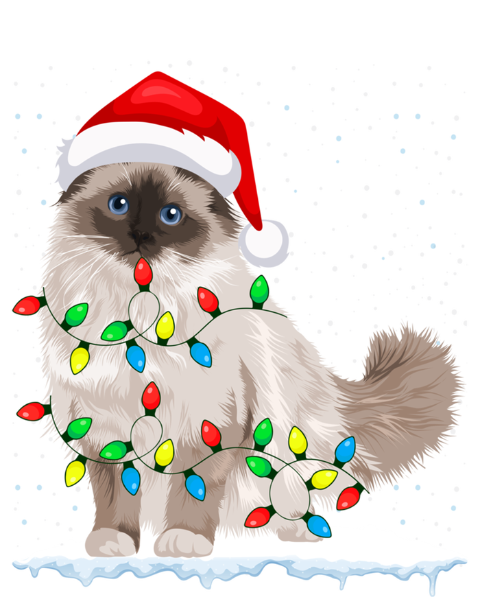 Ragdoll Cat Christmas Lights Xmas Cat Lover Funny Gift Mousepad