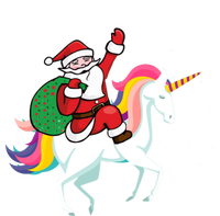 Christmas Funny Gift Santa Riding Unicorn Lovers Gift Tall Long Sleeve T-Shirt