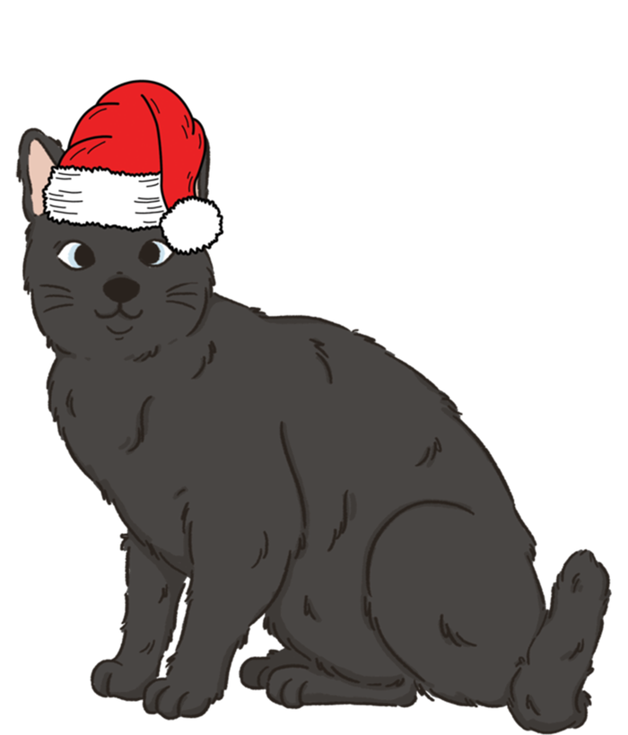 Santa Black Cat Winter Christmas Cat Mom Holiday Gift Valucap Bio-Washed Visor