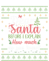 Dear Santa Before I Explain How Much Do You Know Christmas Premium T-Shirt