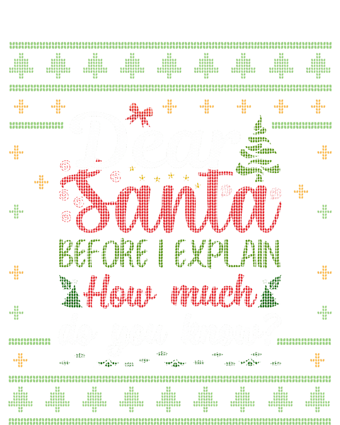 Dear Santa Before I Explain How Much Do You Know Christmas Premium T-Shirt