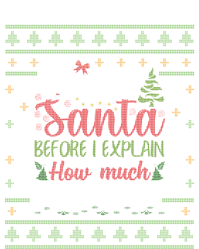 Dear Santa Before I Explain How Much Do You Know Christmas Gift Doggie Tank