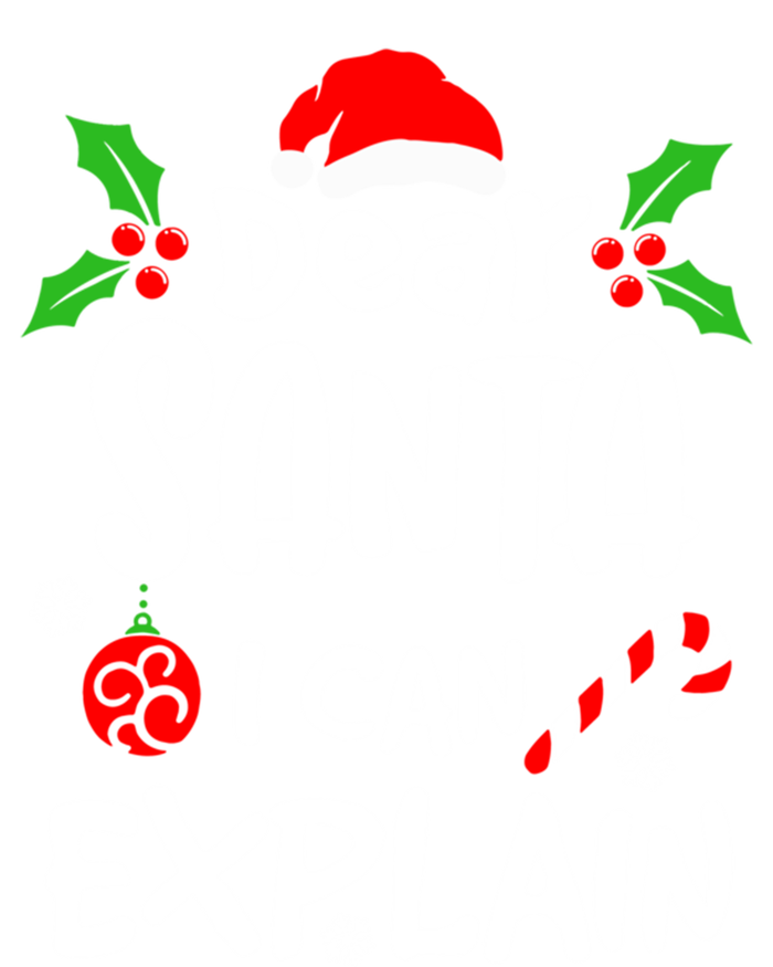 Dear Santa I Can Explain Christmas Lovers Funny Gift Striped Beanie with Solid Band