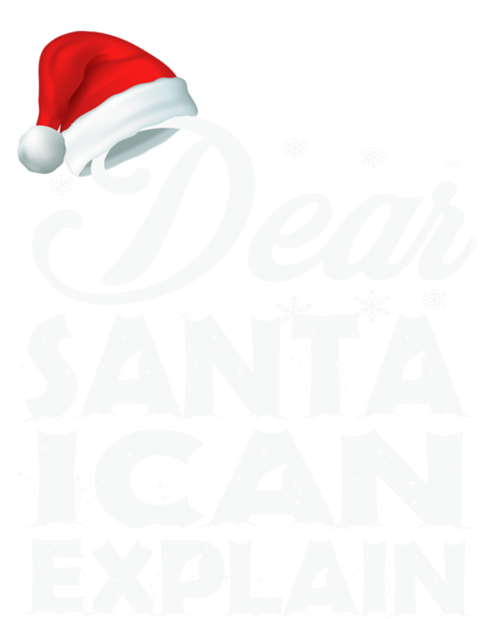 Dear Santa I Can Explain Christmas Funny Gift Pom Pom 12in Knit Beanie