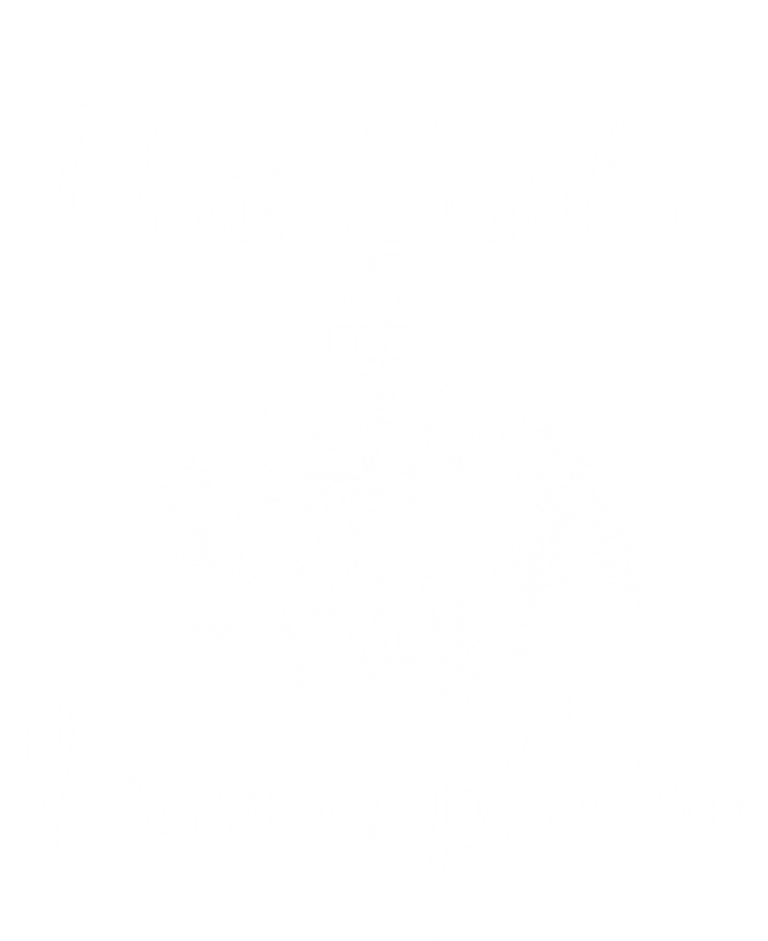 Funny Christmas Dear Santa I Can Explain Xmas Holiday Meaningful Gift T-Shirt