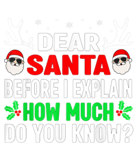 Funny Christmas Family Adults Dear Santa I Can Explain Gift T-Shirt