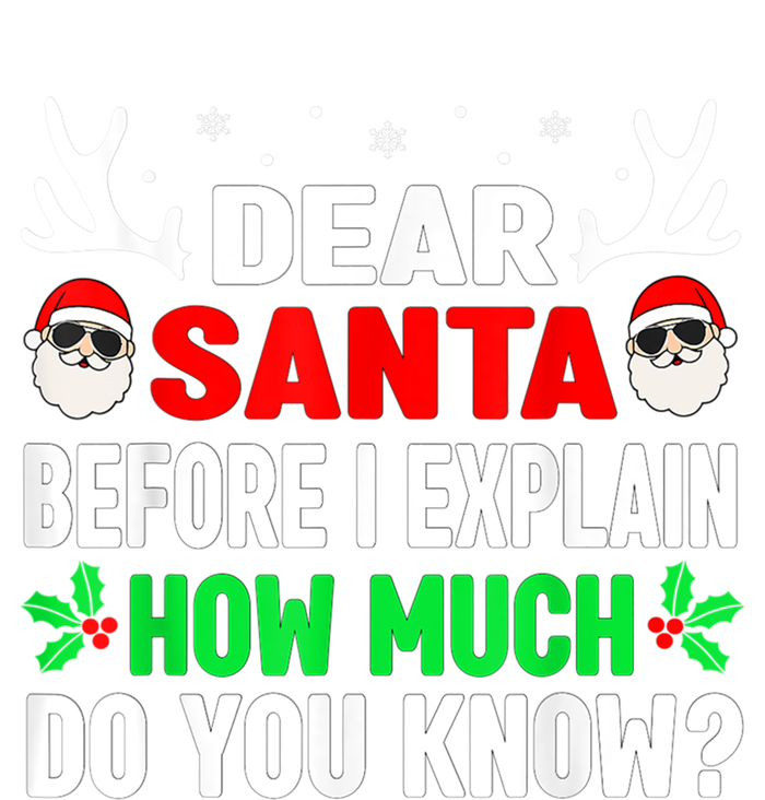 Funny Christmas Family Adults Dear Santa I Can Explain Gift T-Shirt