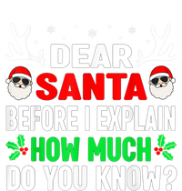 Funny Christmas Reindeer Dear Santa I Can Explain Cool Gift T-Shirt