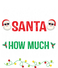 Funny Christmas Gift Adults Dear Santa I Can Explain Gift T-Shirt