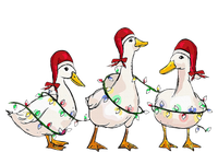 Duck Santa Hat Christmas Lights Silly Goose Xmas  Tie-Dye Long Sleeve Shirt