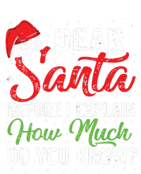 Dear Santa I Can Explain Funny Christmas Adults T-Shirt