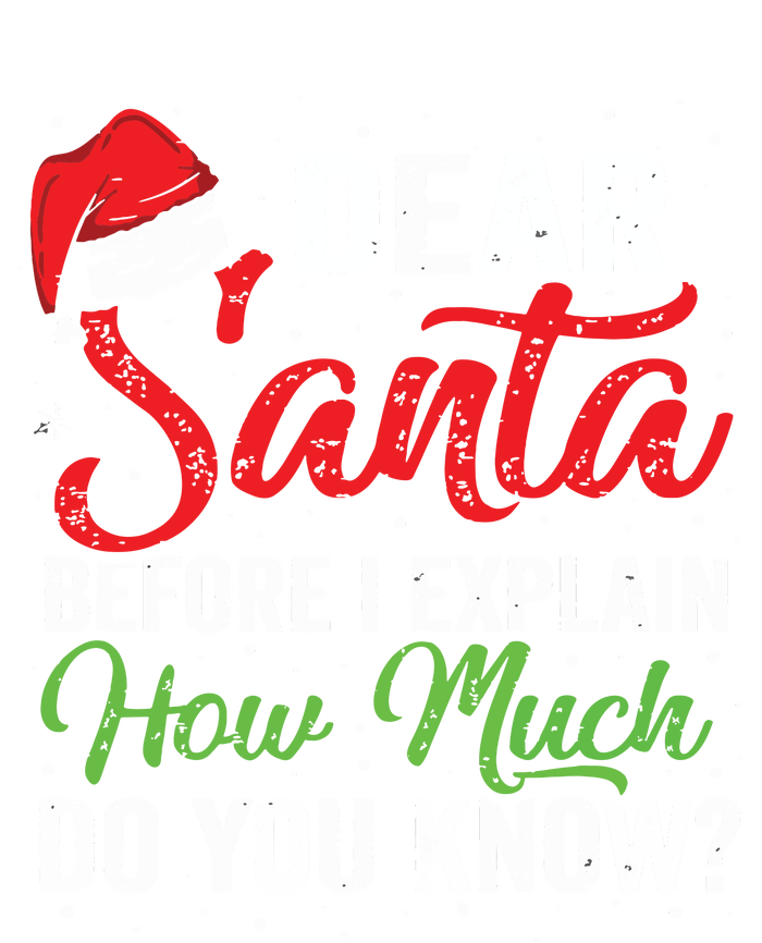 Dear Santa I Can Explain Funny Christmas Adults T-Shirt