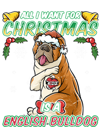 All I Want For Christmas Is A English Bulldog Santa Claus Gift T-Shirt