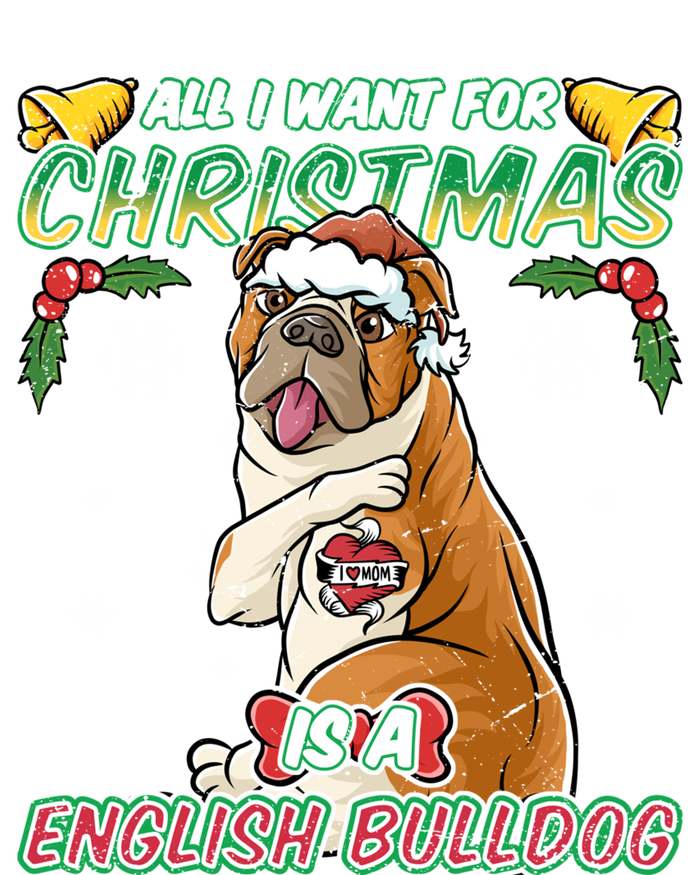 All I Want For Christmas Is A English Bulldog Santa Claus Gift T-Shirt