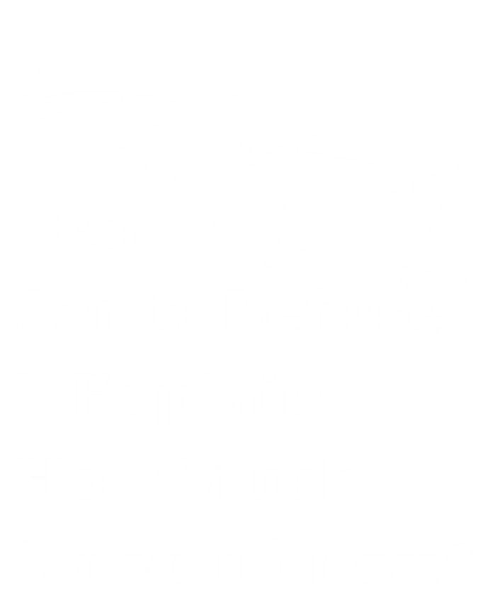 Funny Christmas Adults Dear Santa I Can Explain Meaningful Gift Tie-Dye T-Shirt