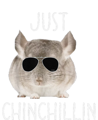 Funny Just Chinchillin Chinchilla Bro Relaxing Chillin T-Shirt