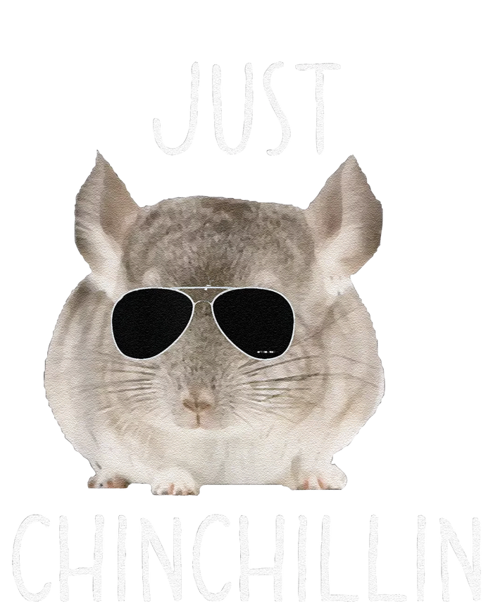 Funny Just Chinchillin Chinchilla Bro Relaxing Chillin T-Shirt