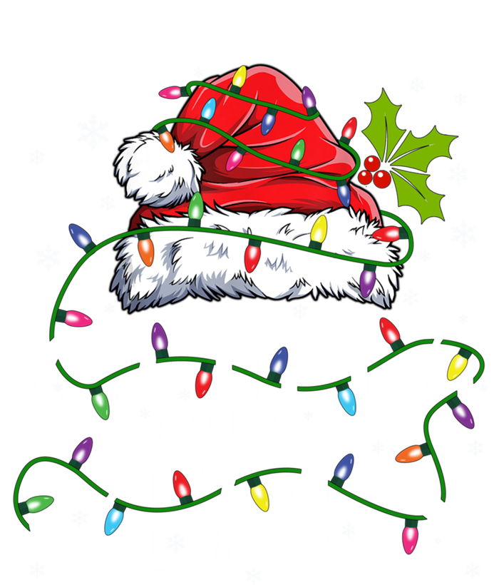 Grandma Claus Gift Christmas Lights Pajama Family Matching Gift Striped Beanie with Solid Band