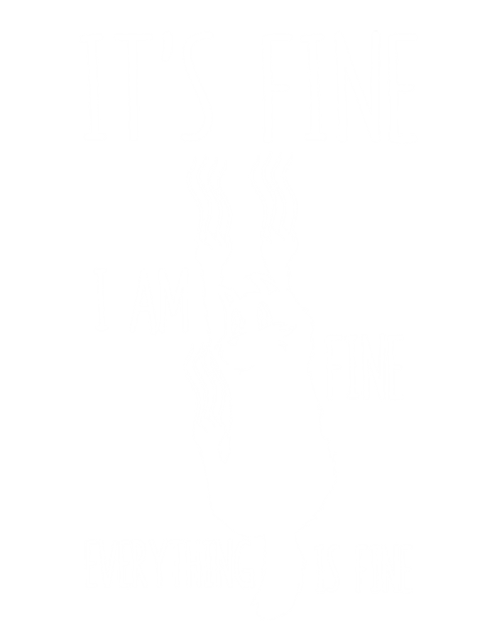 ItS Fine IM Fine Everything Is Fine Freakedout Cat Funny Gift T-Shirt