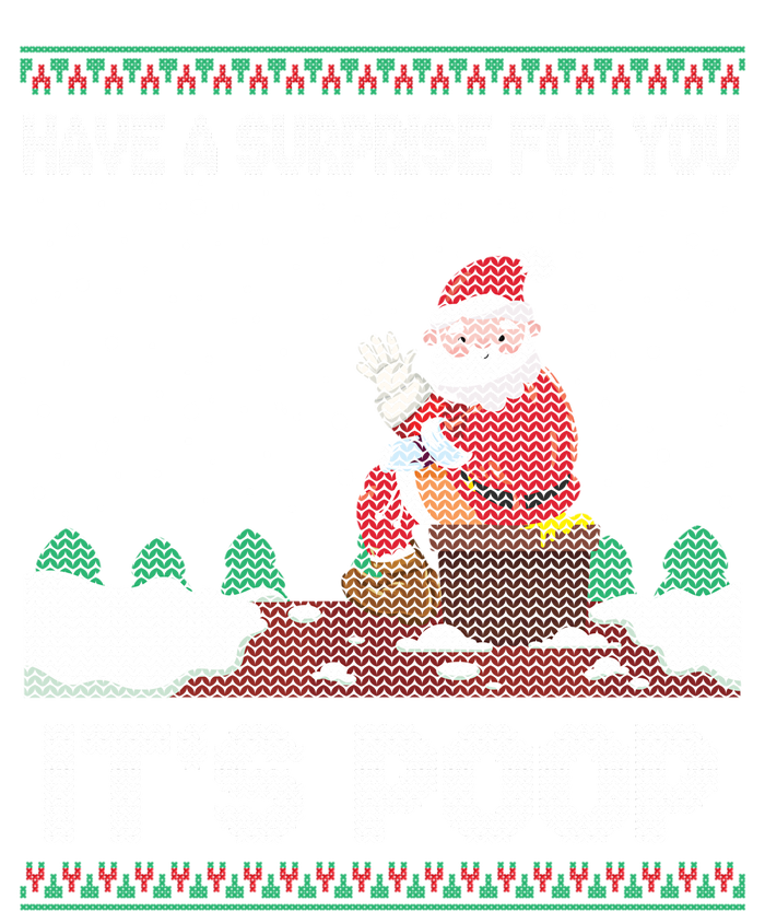 I Have A Surprise For You ItS Poop Funny Santa Xmas Gifts Ladies Essential Flowy Tank