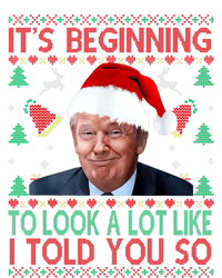 ItS Beginning To Look A Lot Like I Told You So Trump Xma Premium Hoodie